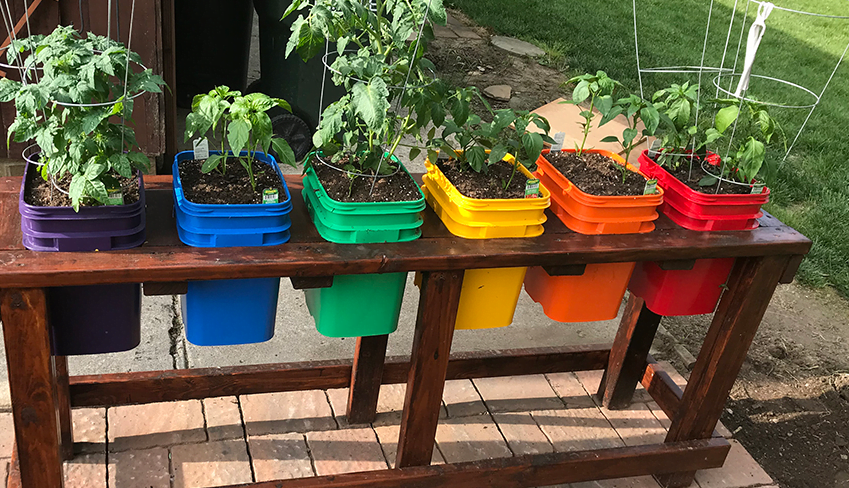 Container Gardening