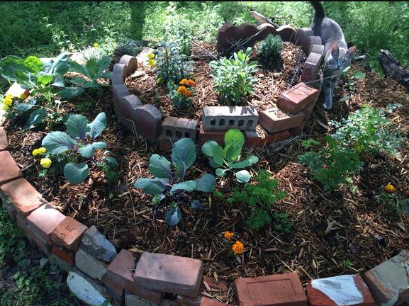 Miniature Zen Garden: Finding Serenity