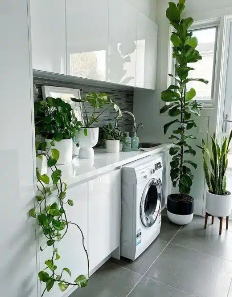 Add Some Plants to Make it Lovely laundry room